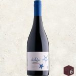 kalfu-molu-pinot-noir-6x750-1-430x491